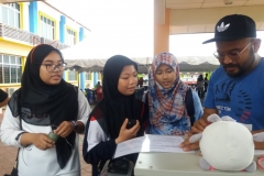 stem24